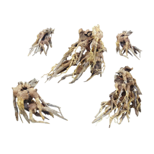 Whimar - Decor octopus wood