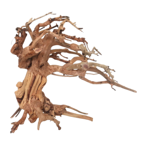 Whimar - Decor wave bonsai wood
