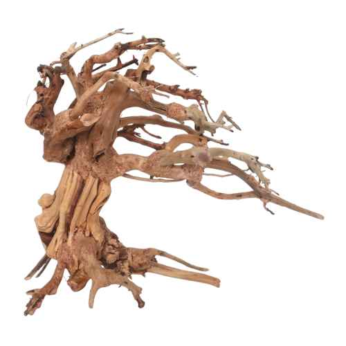Whimar - Decor wave bonsai wood