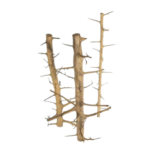 Whimar - Long hand wood