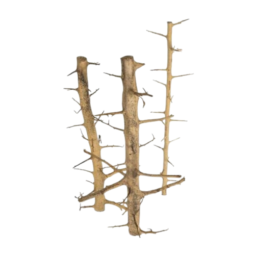 Whimar - Long hand wood