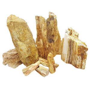 Whimar - Red wood fossil rock