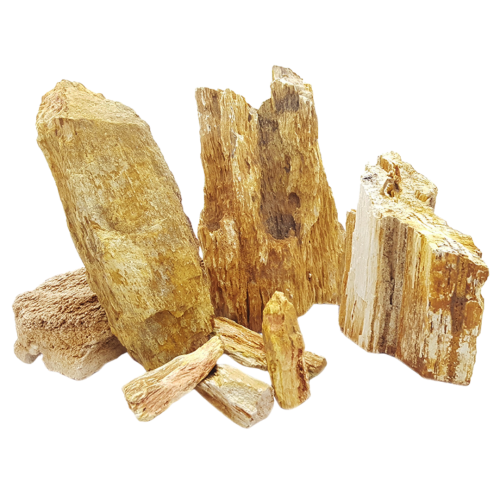Whimar - Red wood fossil rock