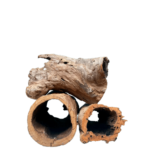 Whimar - Hollow Wood