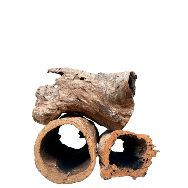 Whimar - Hollow Wood