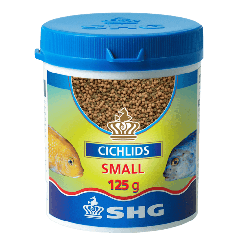 SHG - Cichlids small