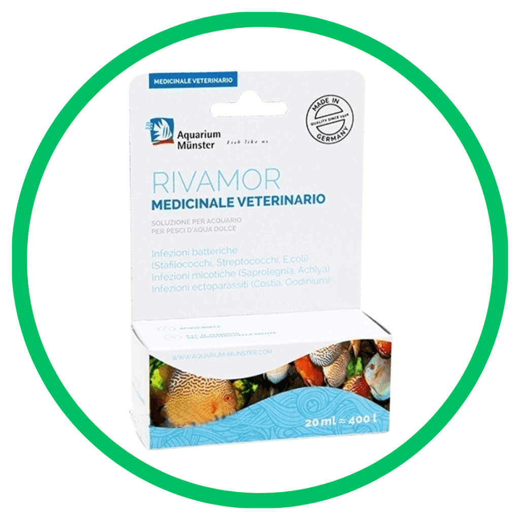 12-1-Medicinali e curativi