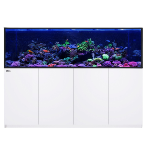 Red Sea - Reefer G3 bianco