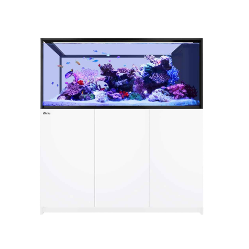 Red Sea - Reefer Peninsula S 700 bianco