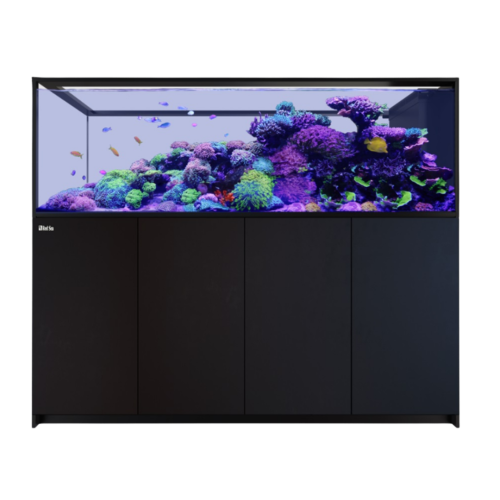 Red Sea - Reefer Peninsula S 950 Nero