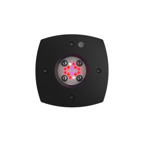 AI - Prime Fuge