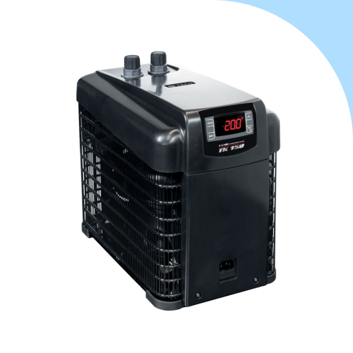 Teco - TK150 - Noleggio