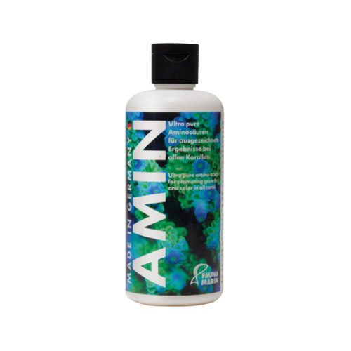 Fauna Marin - Amin