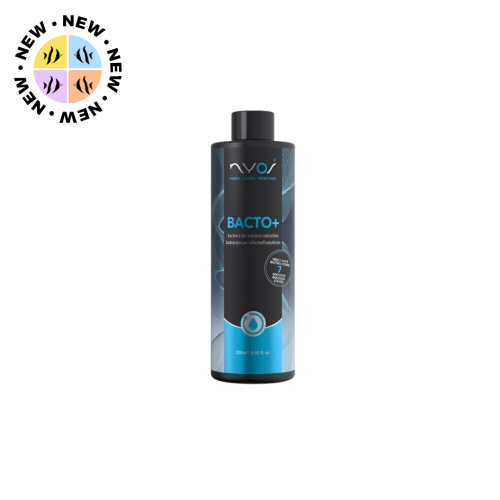 Nyos - Bacto plus New