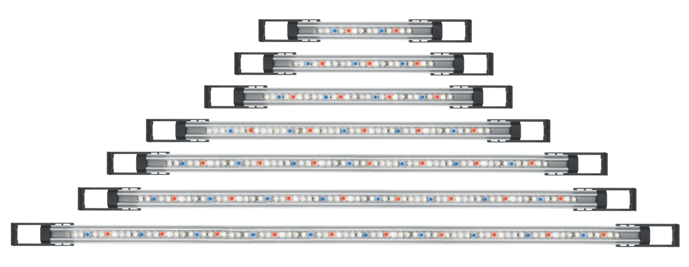 Newa - Slim led plants 1