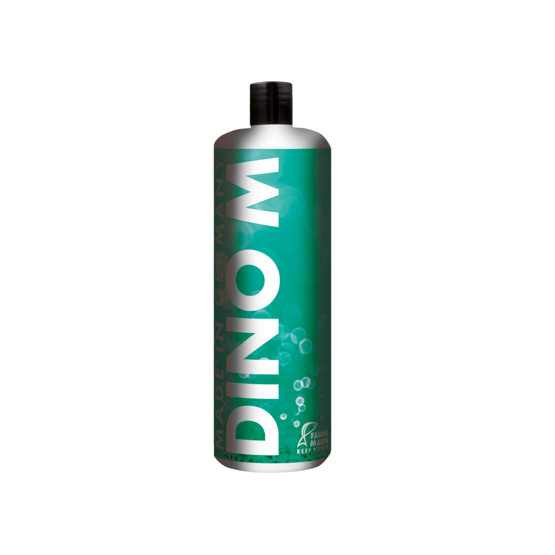 Fauna Marin - Dino M