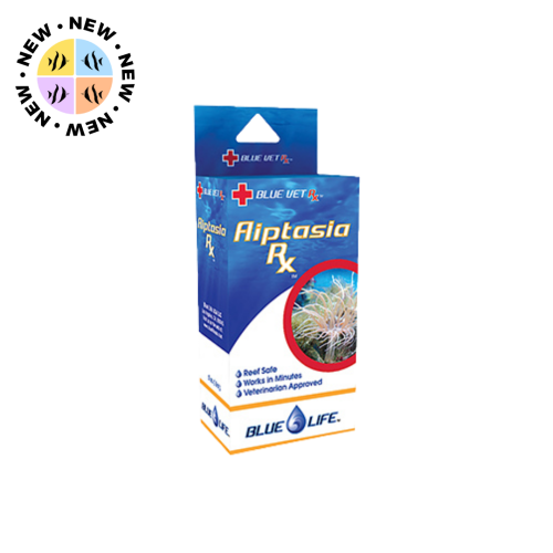 Bluelife - Aiptasia Rx