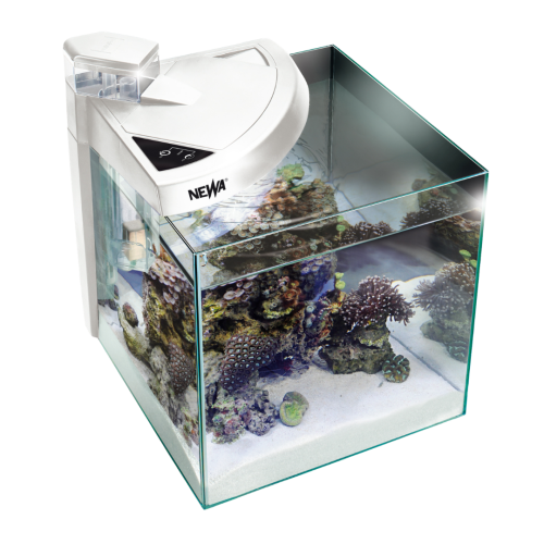 Newa - More reef