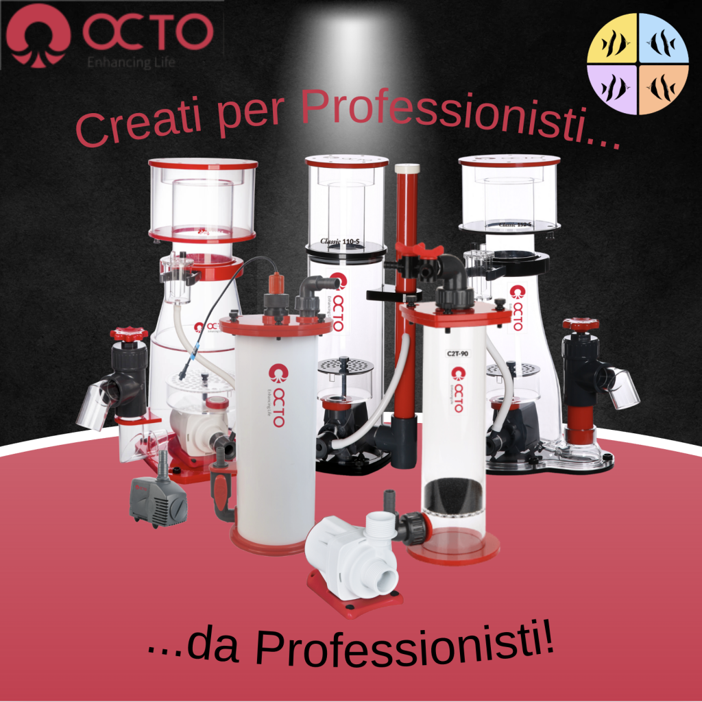 Banner - Octo