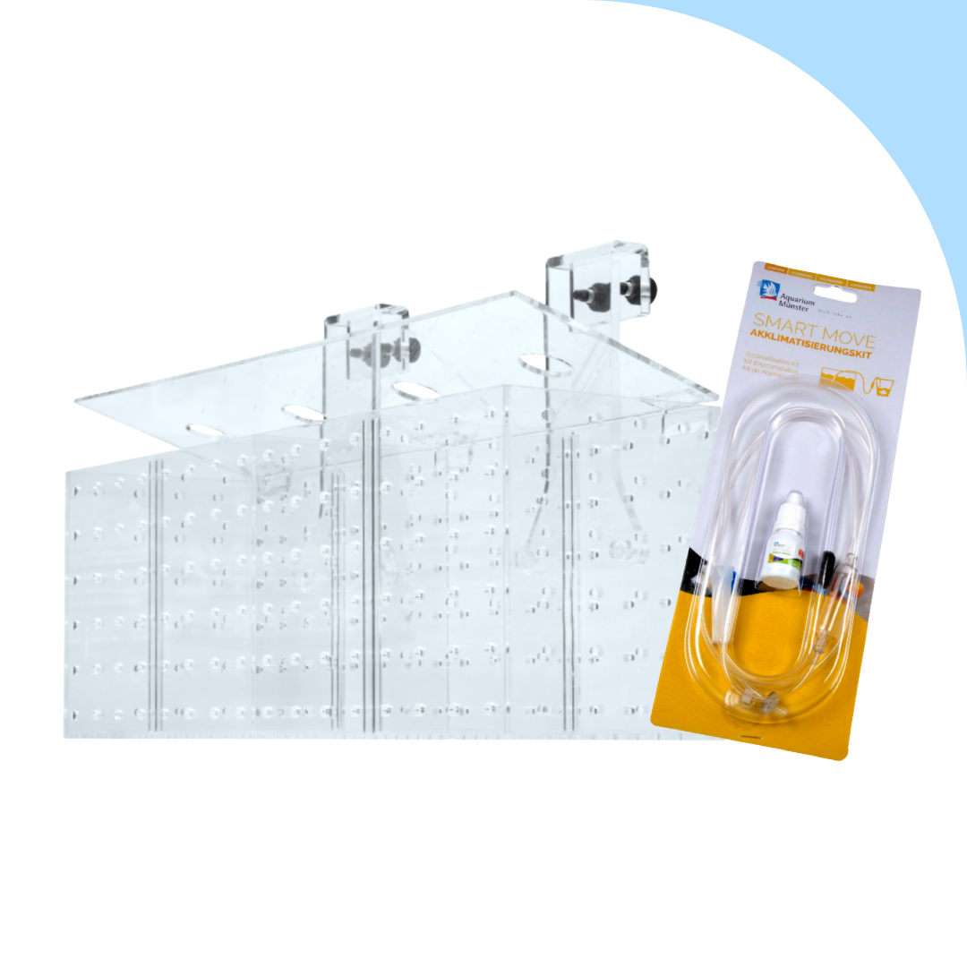 Kit Acclimatazione