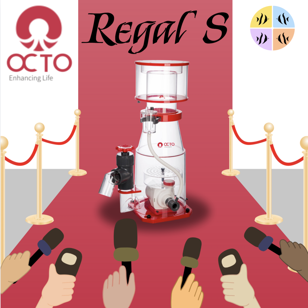 Banner - Octo Regal