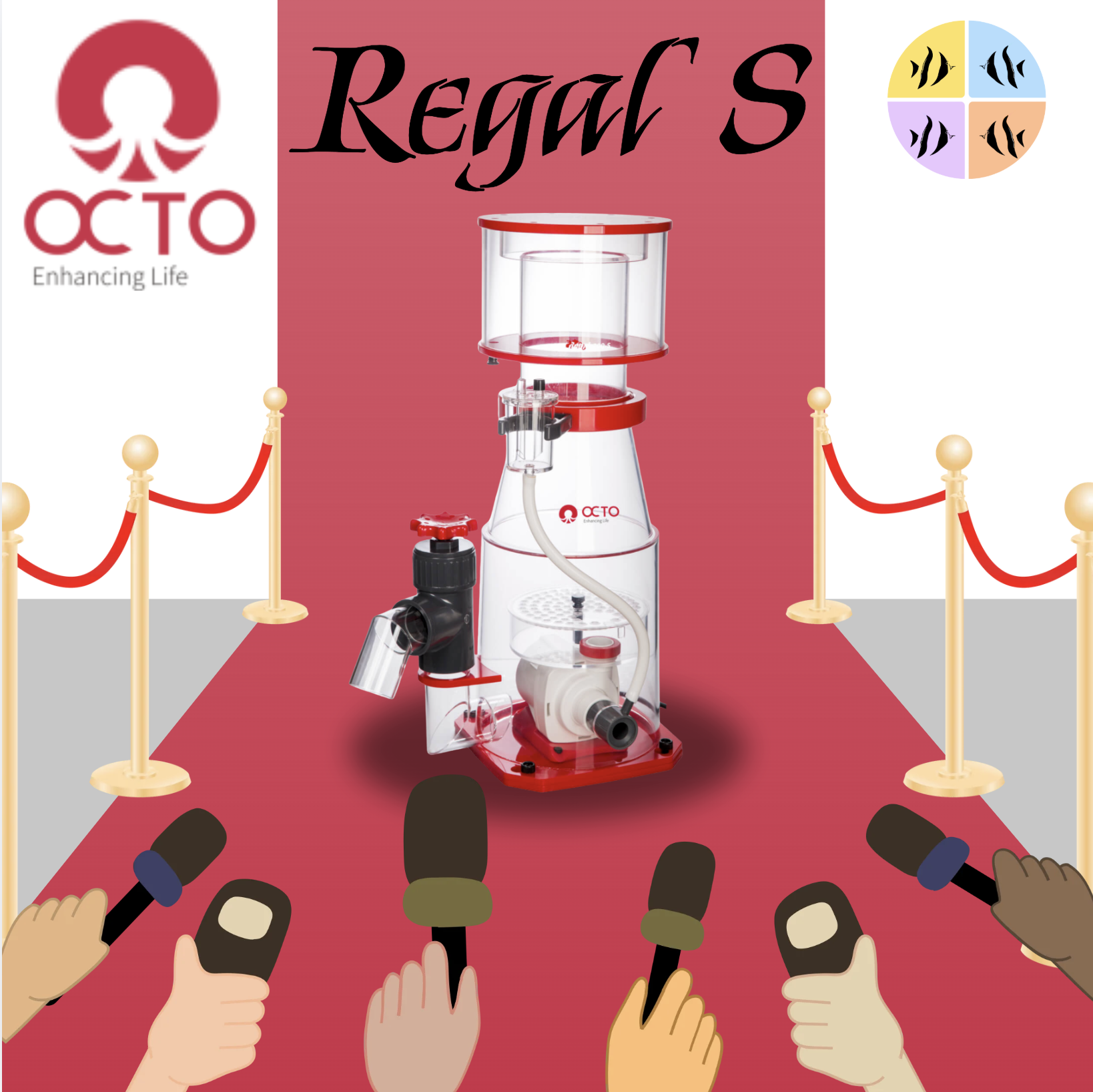 Banner - Octo Regal
