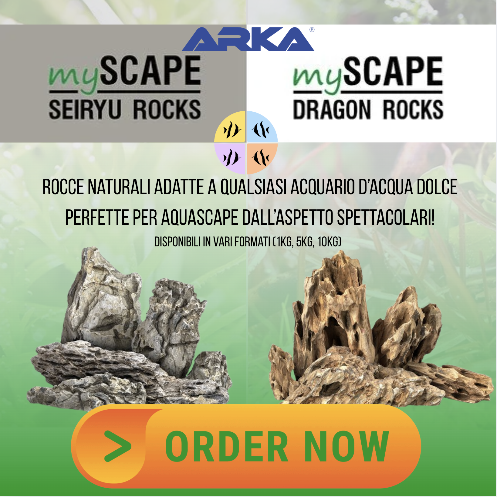 Banner Arka MyScape rock
