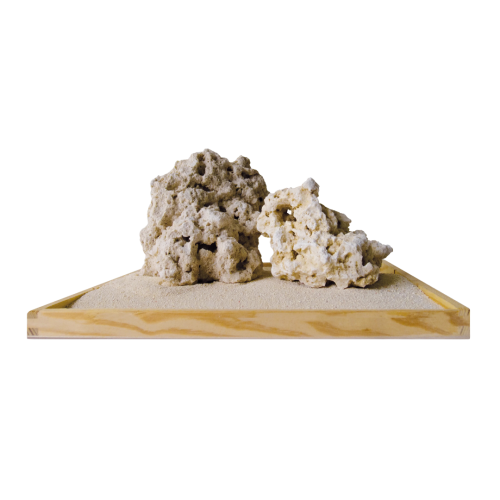 ABA - Roccia marina bianca